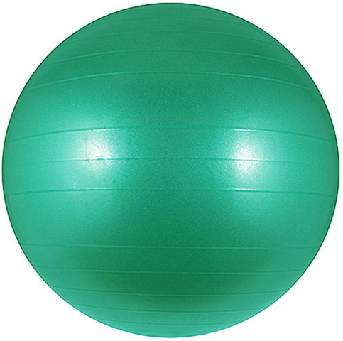 Gymnastická lopta Spartan 65 cm  